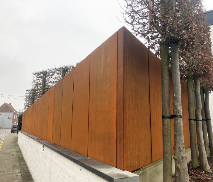 137594520_968068880264584_5937214656519193621_n